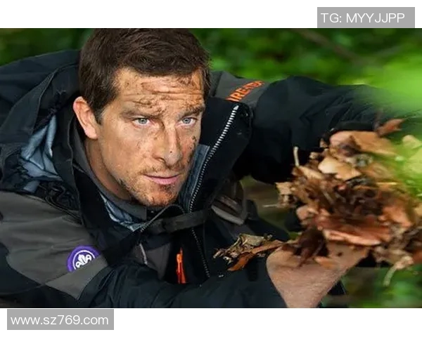 海底探险家发现珍稀贝尔化石，揭开海洋奥秘